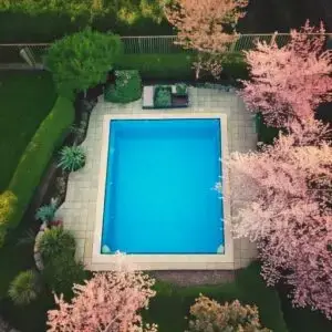 Artistic rendering of rectangular fiberglass pool and cherry blossom trees