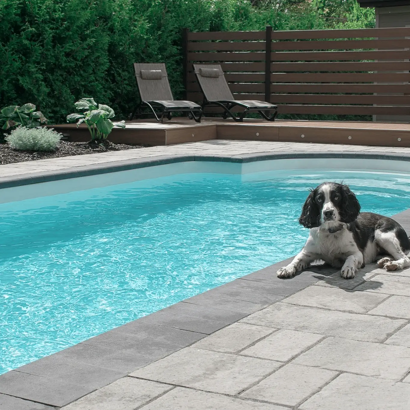 Gamma | Ardent Outdoor Living | Fiberglass Pools